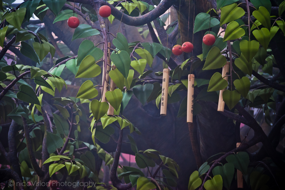 HK Stuff and Things-84.jpg