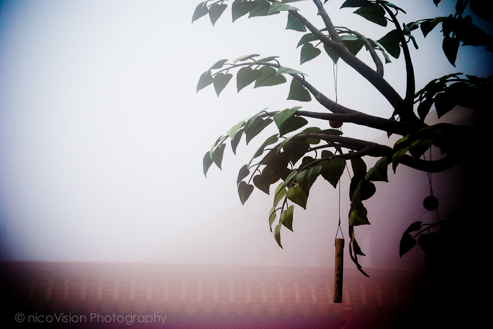 HK Stuff and Things-88.jpg