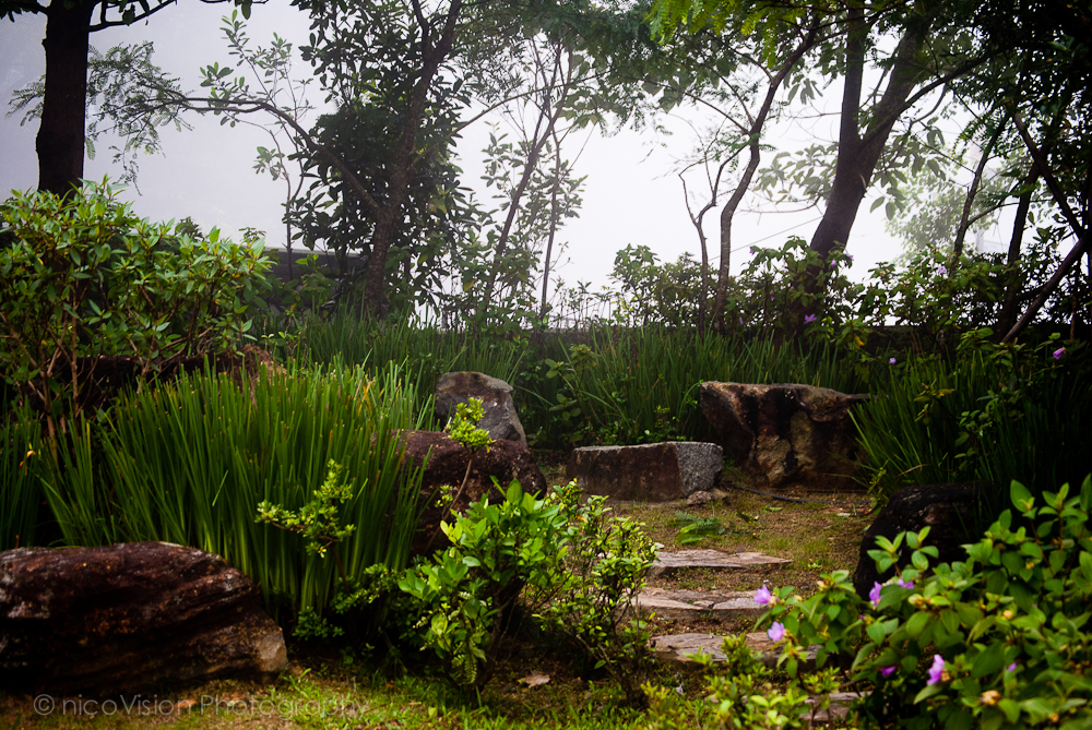 HK Stuff and Things-87.jpg