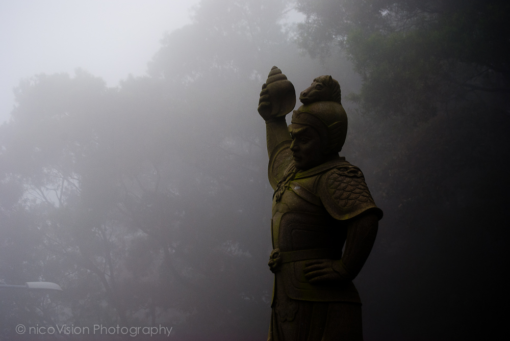 HK Stuff and Things-94.jpg
