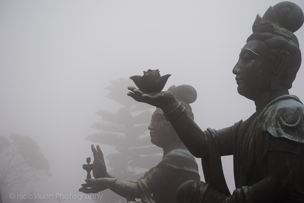 HK Stuff and Things-103.jpg