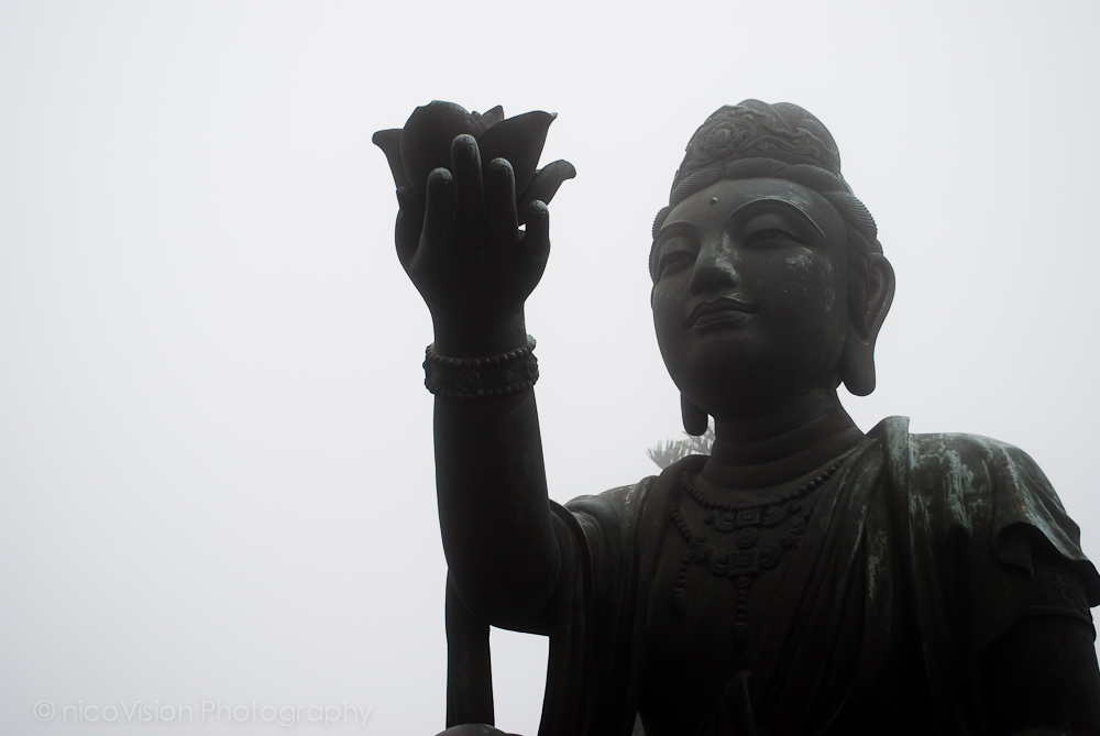 HK Stuff and Things-106.jpg
