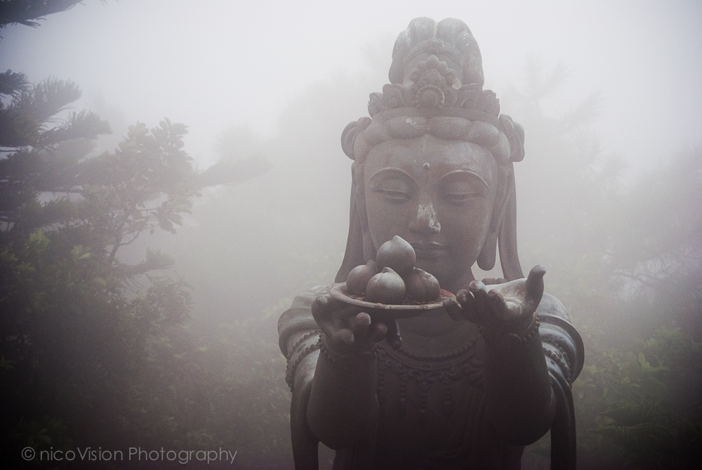 HK Stuff and Things-114.jpg