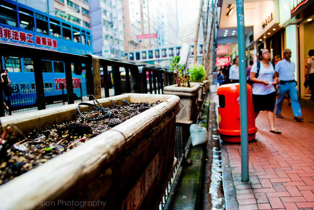 HK Stuff and Things-143.jpg