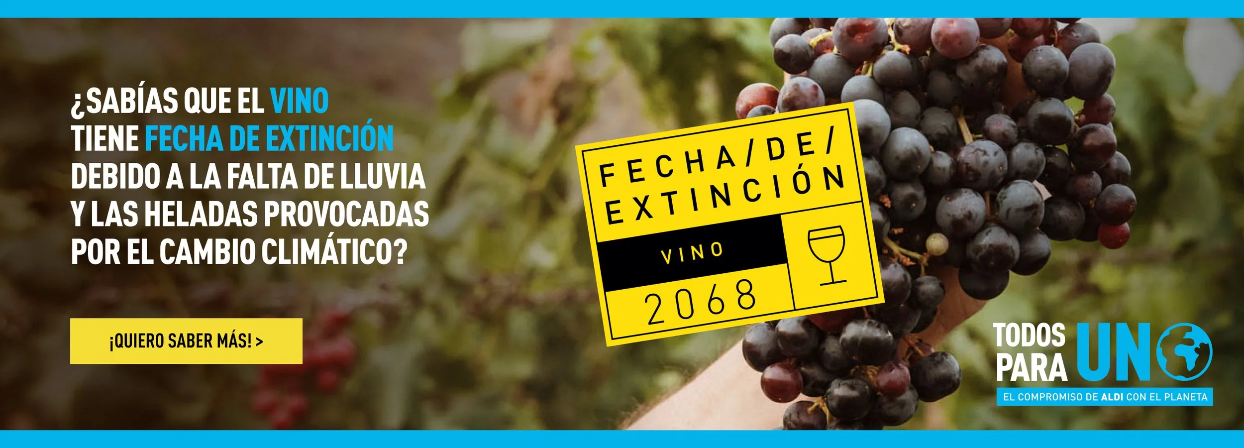 cabecera vino-2800x1008.jpg