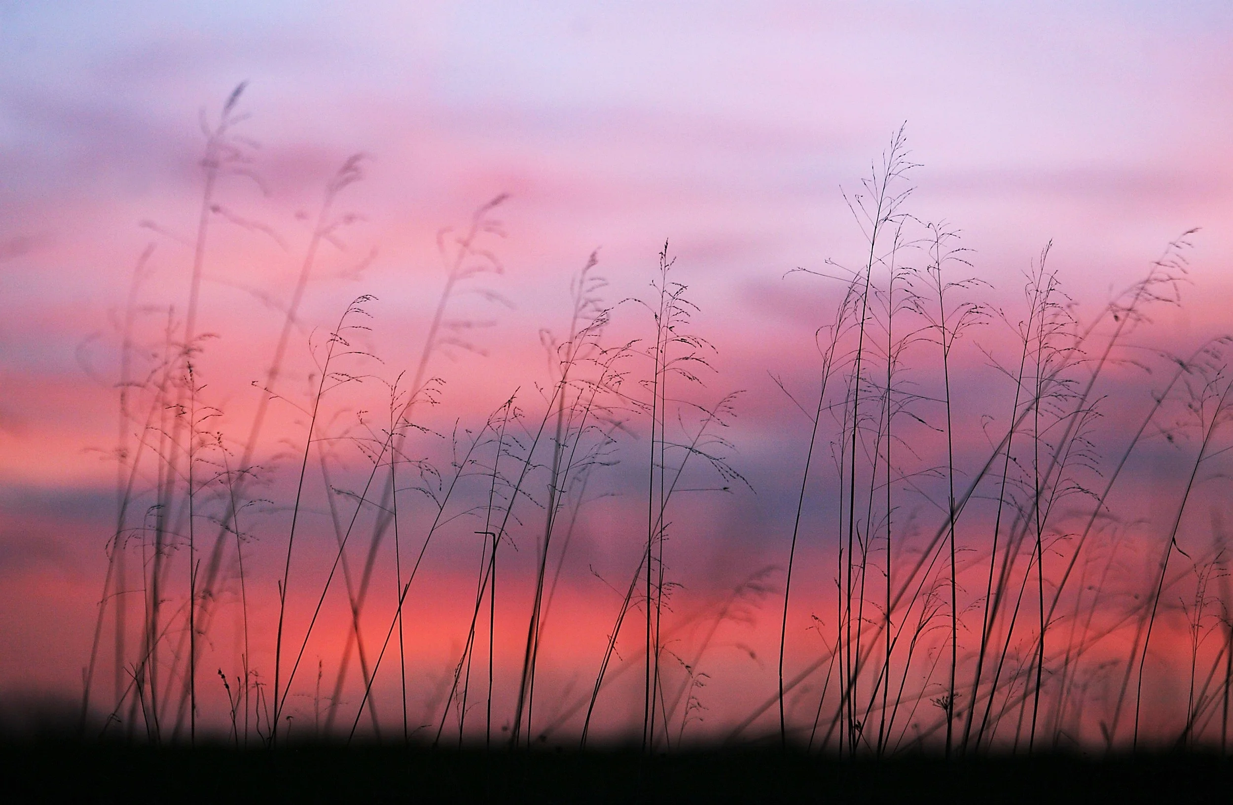 2nd Annual Middle of Nowhere Folio Review 2014