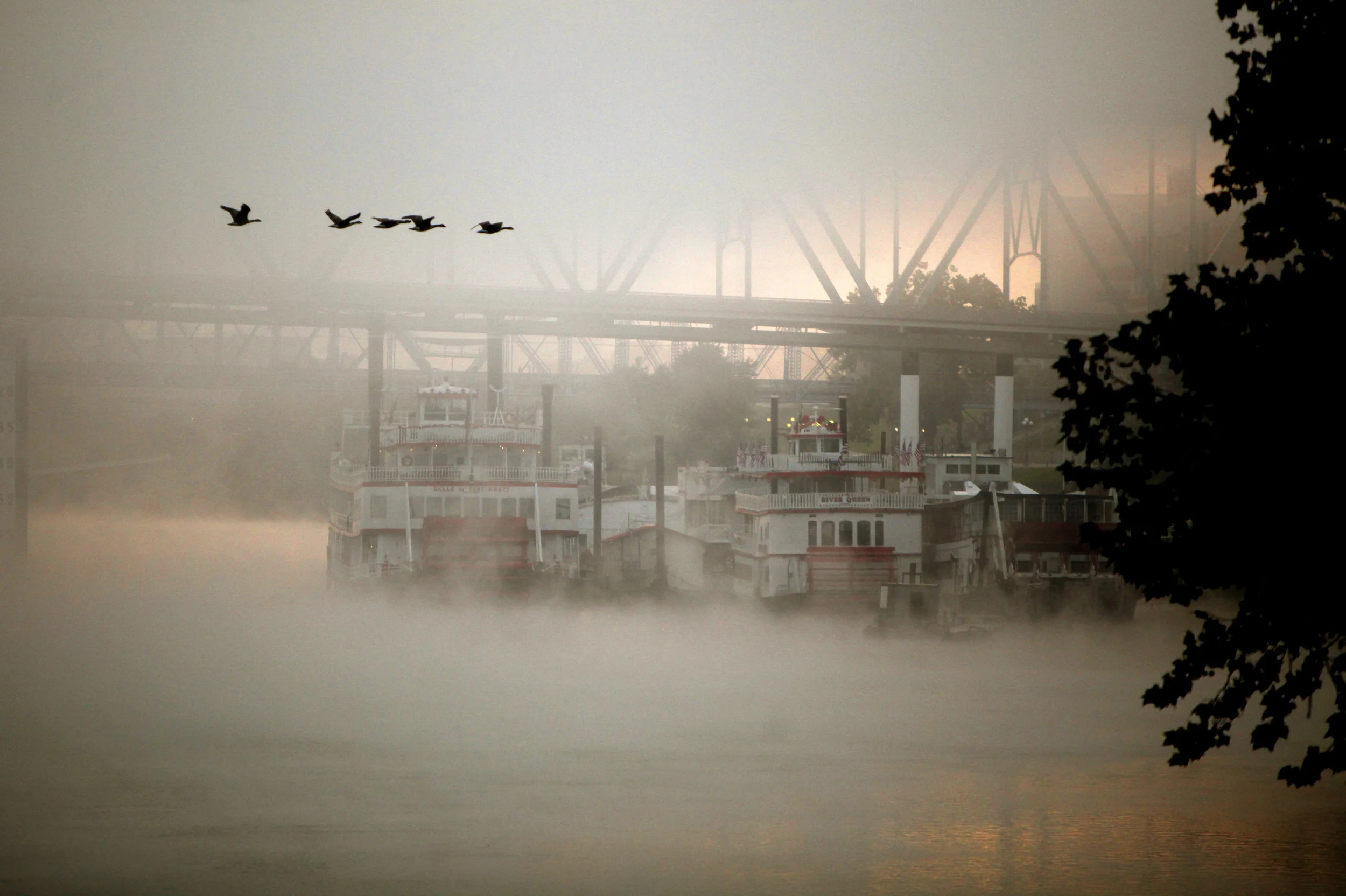 BOYD'S STATION BENEFIT AUCTION BID NOW!