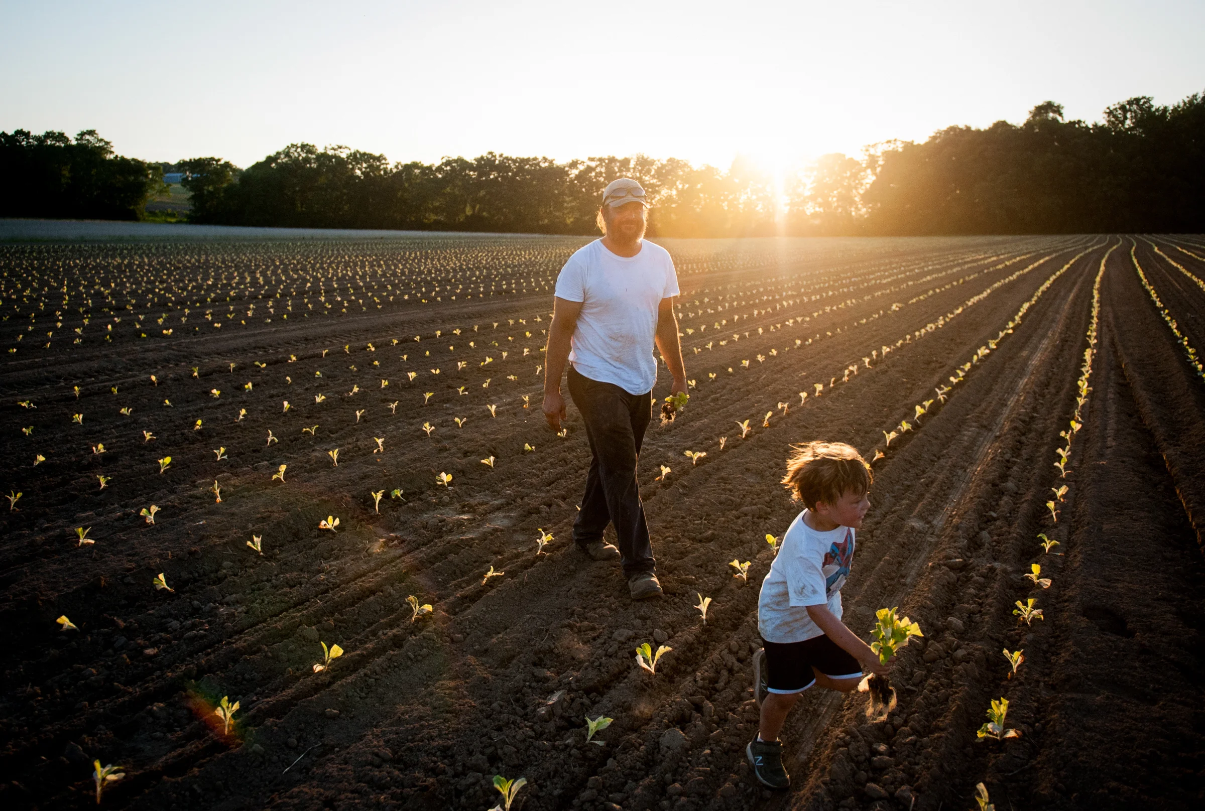 Project 306.36 Image Showcase at Rohs Opera House 