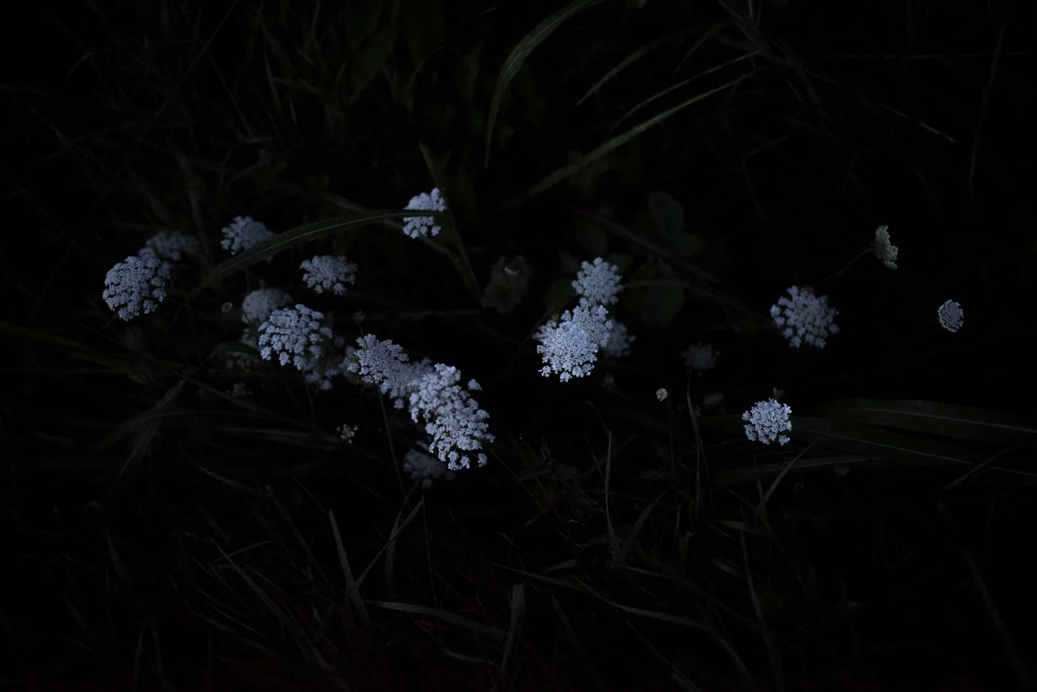 dusk2dawn-7.jpg