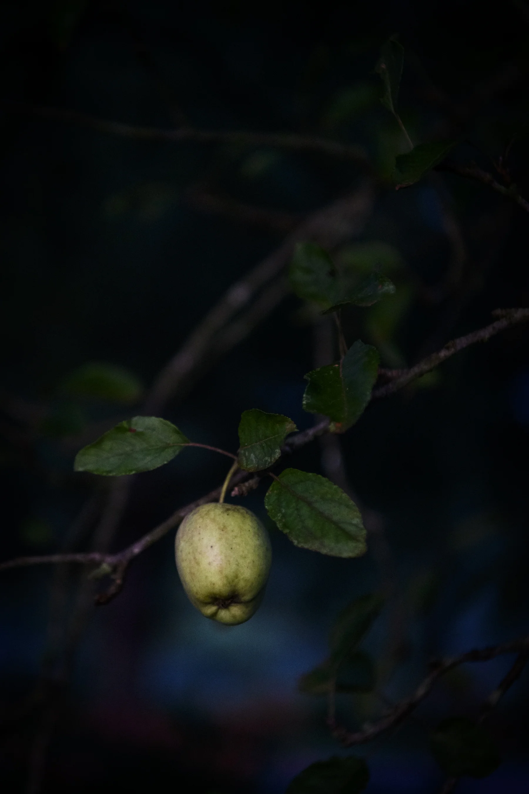 Dawn to Dusk-5.jpg
