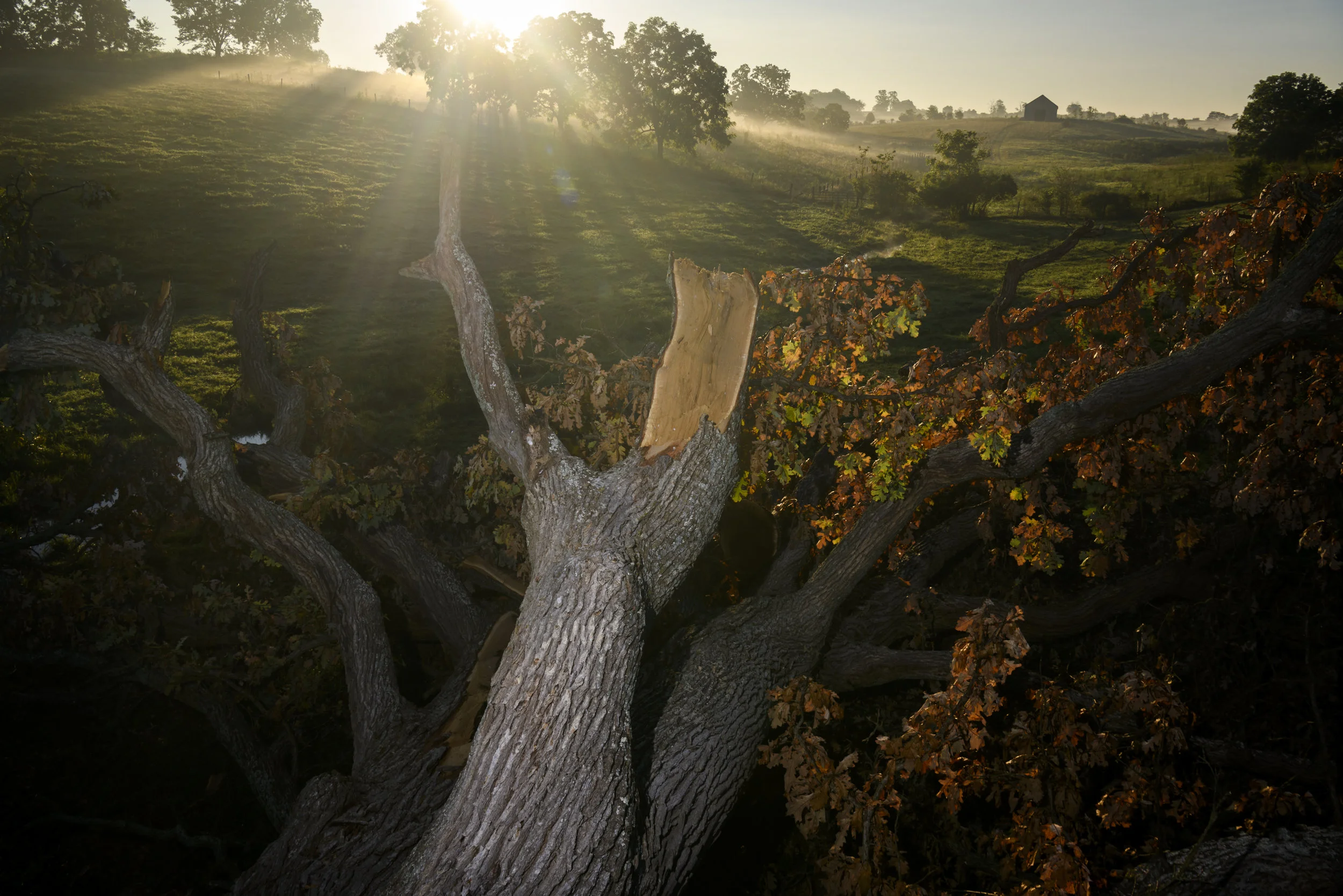 Dawn to Dusk-1.jpg