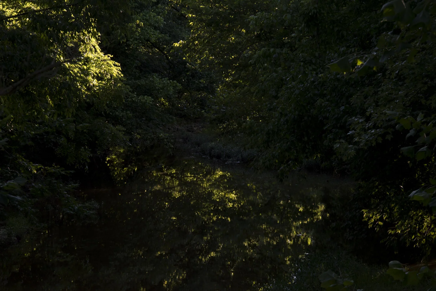 dusk2dawn-8.jpg