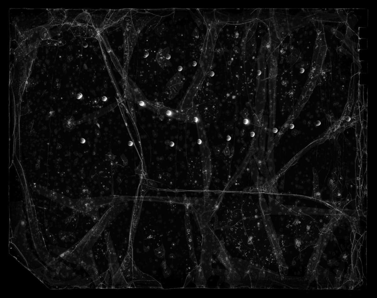 Lunar Eclipse Damaged Neg Oct 1949-001.2.png