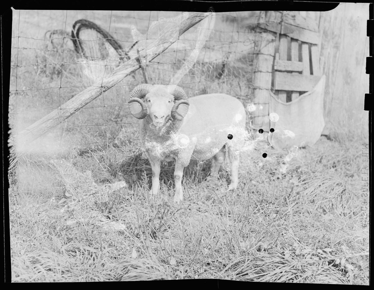 Aged Neg Abstract Multi Exp 002.png
