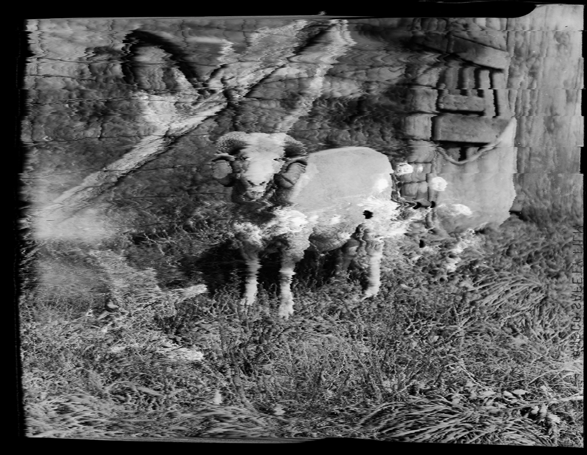 Aged Neg Abstract Multi Exp 002.2.png