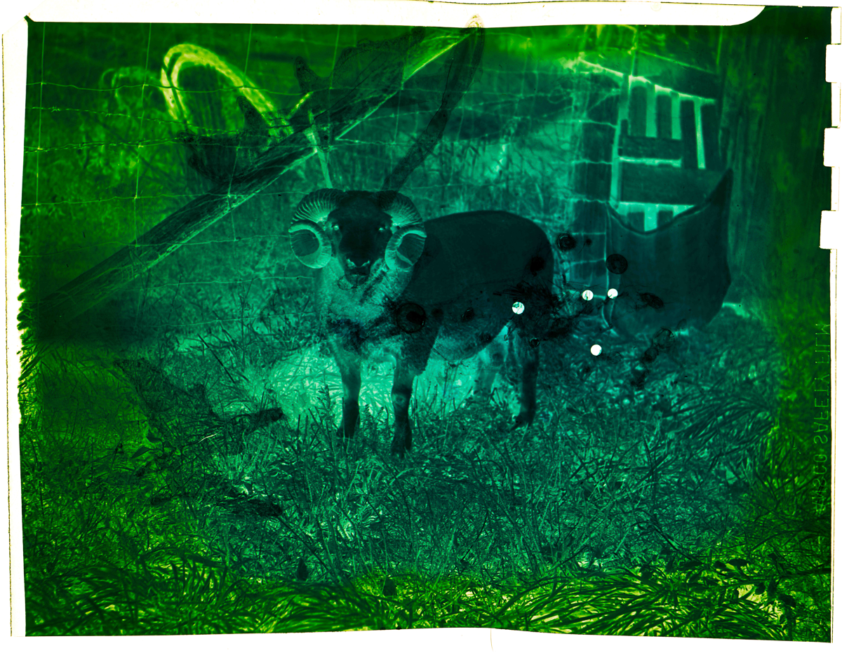 Aged Neg Abstract Multi Exp 001.4.png
