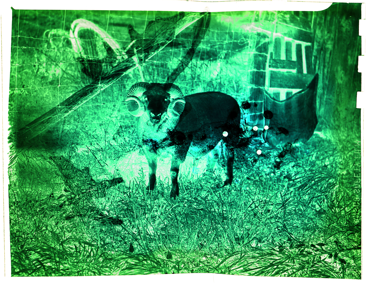 Aged Neg Abstract Multi Exp 001.3.png