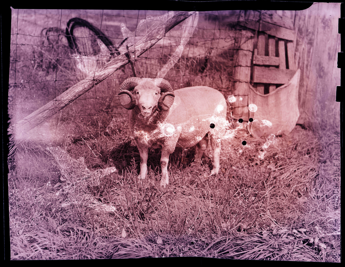 Aged Neg Abstract Multi Exp 001.1.png