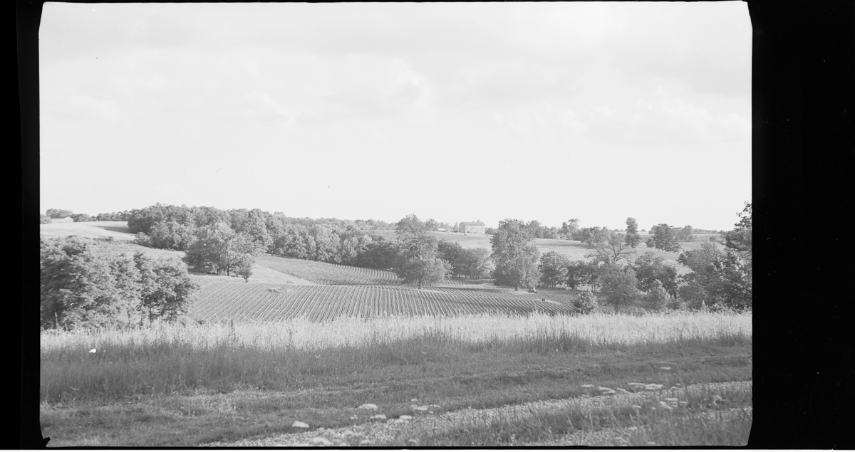 FarmScene1952002.png