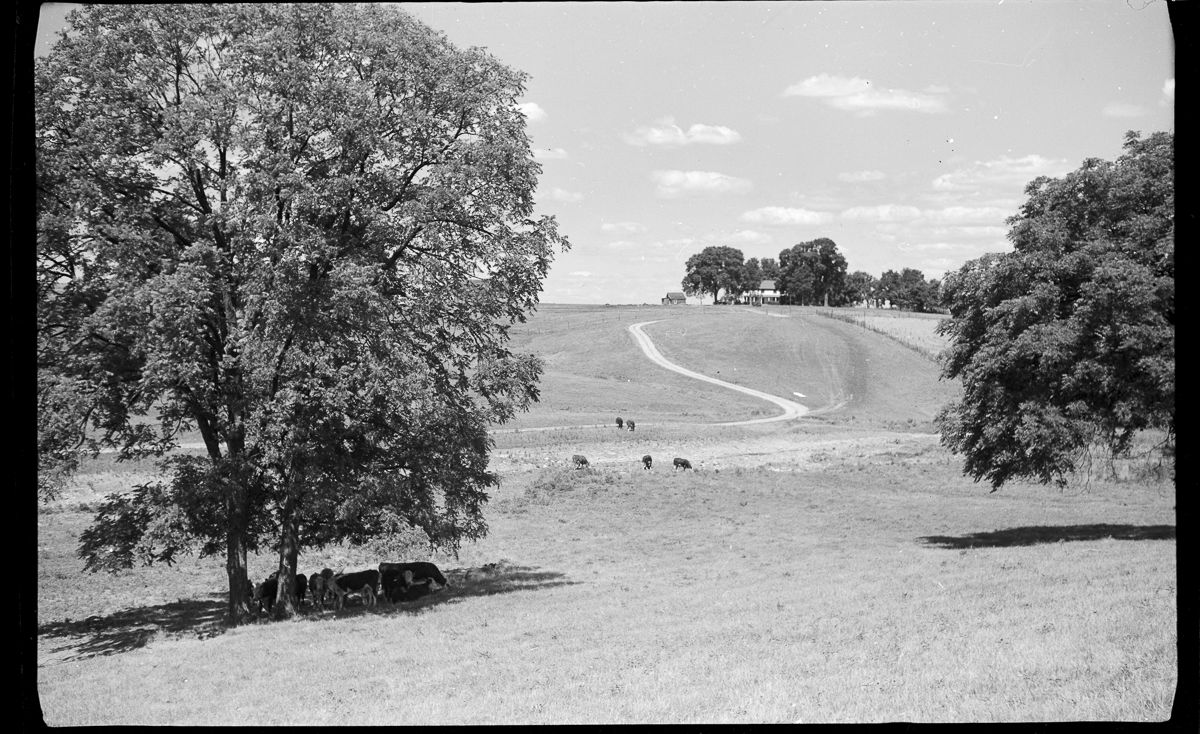 PurdyFarm1953006.png