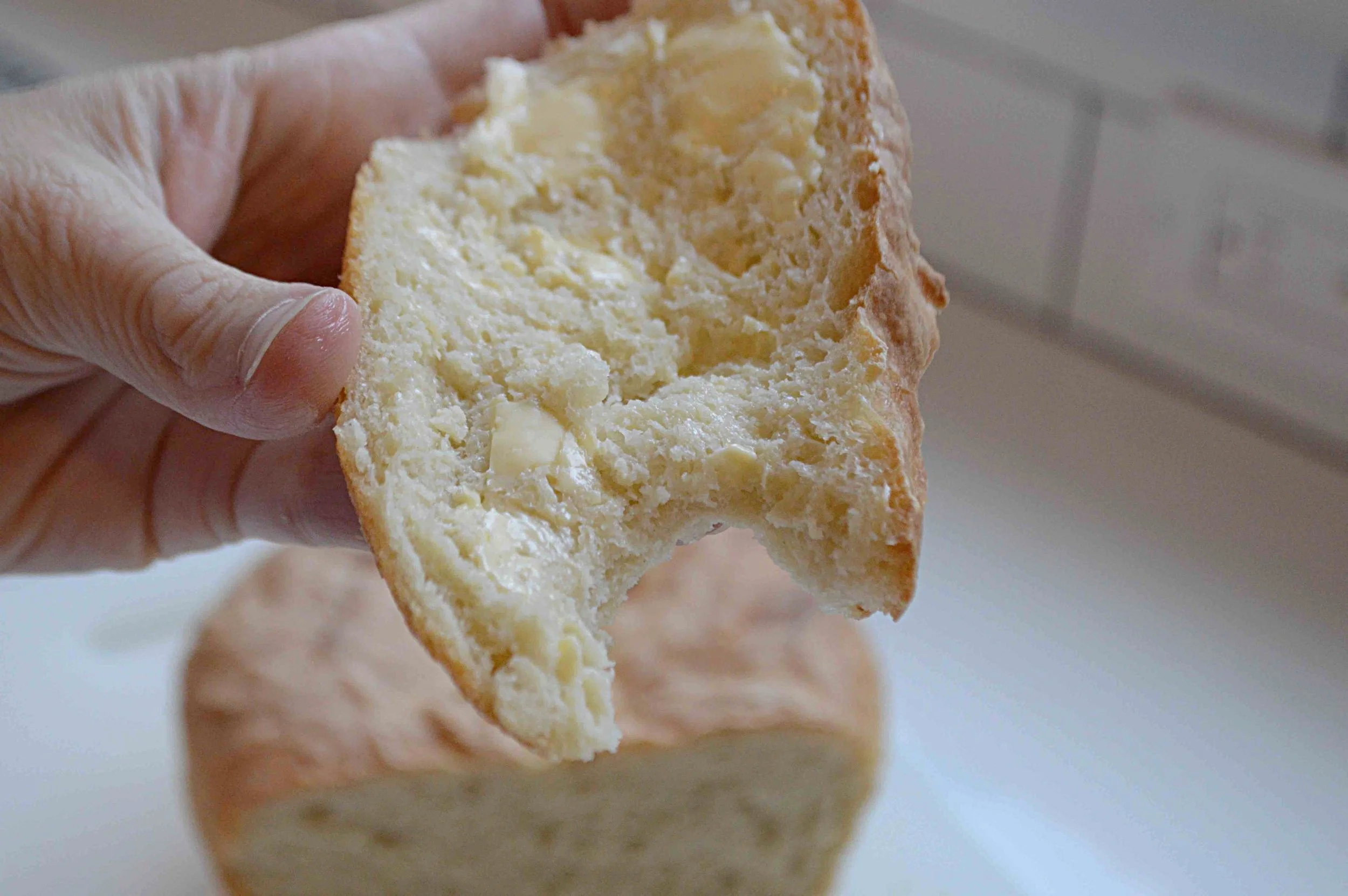 Bread Toast Crumbs' NoKnead Peasant BreadFamous Fridays — Unwritten