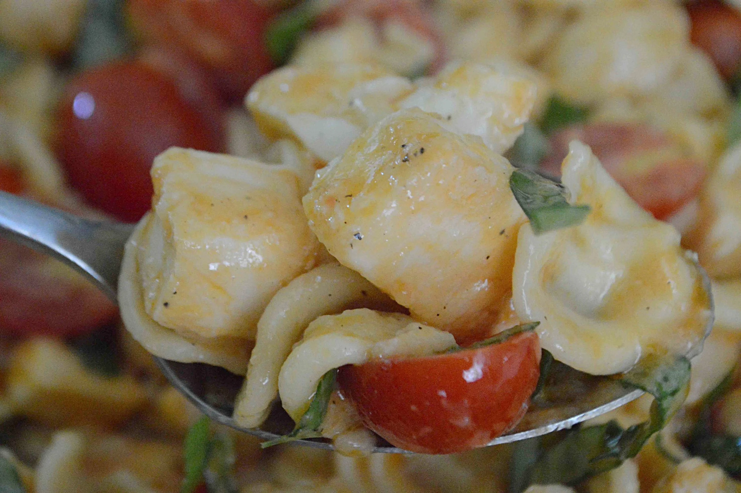 Fresh Mozzarella and Tomato Pasta Salad with Asian-Style Red Pepper ...