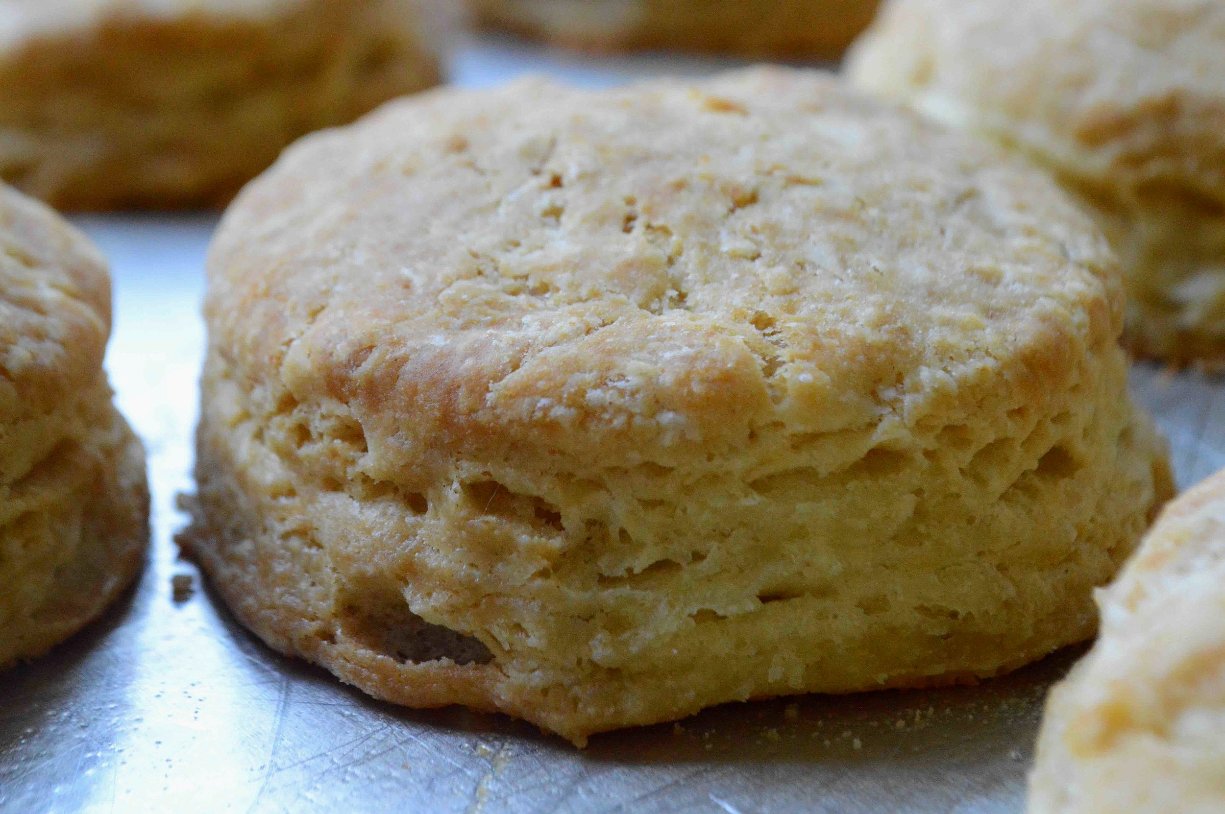 how to make baking powder biscuits without shortening how to make baking powder biscuits without shortening