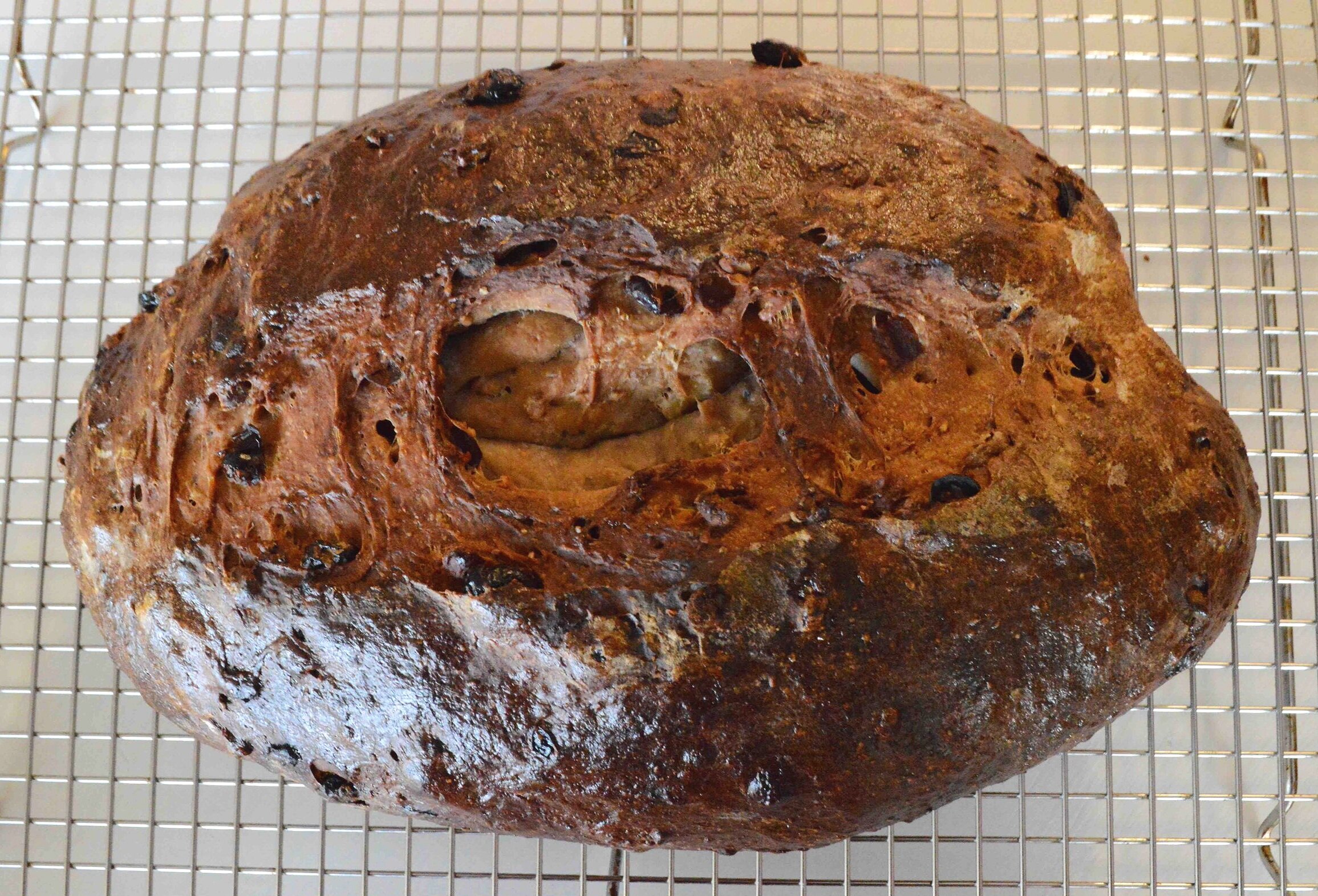 Dough Whisk Black Walnut