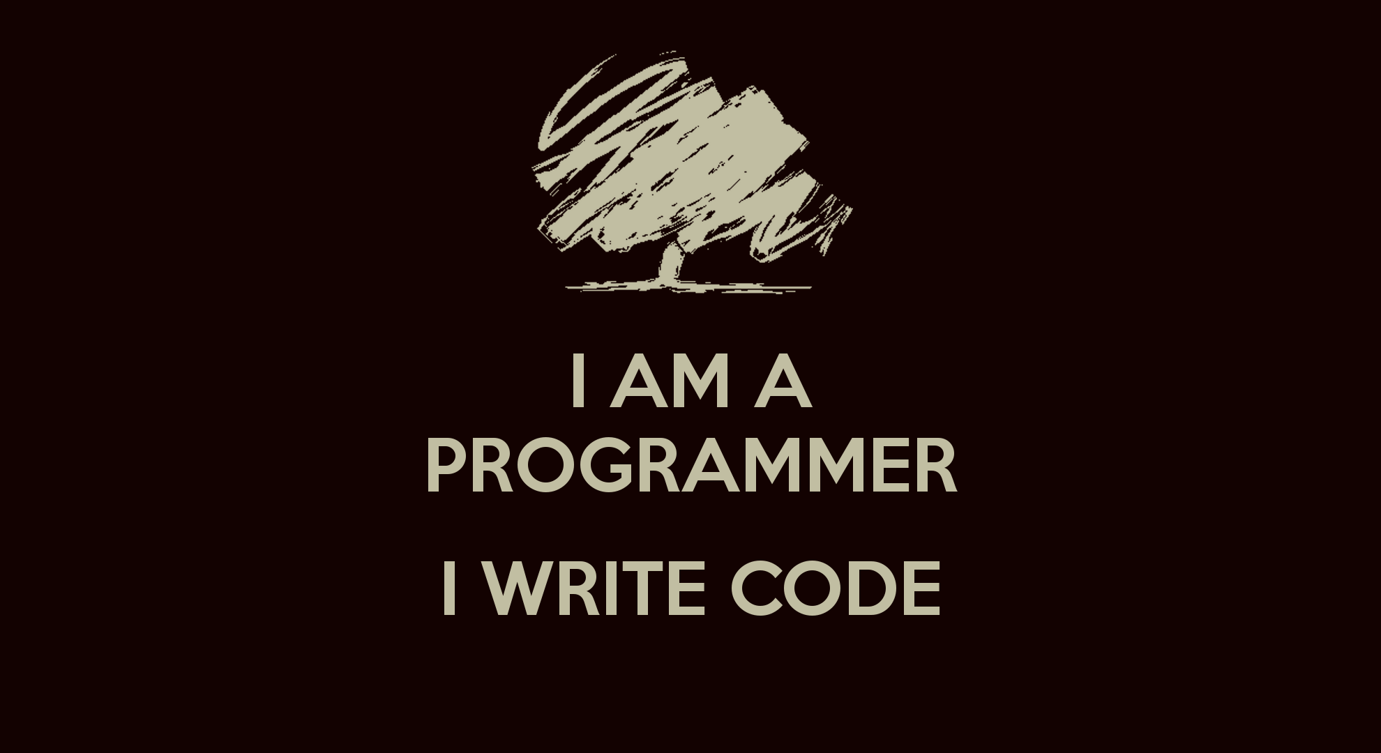 i-am-a-programmer-i-write-code.png