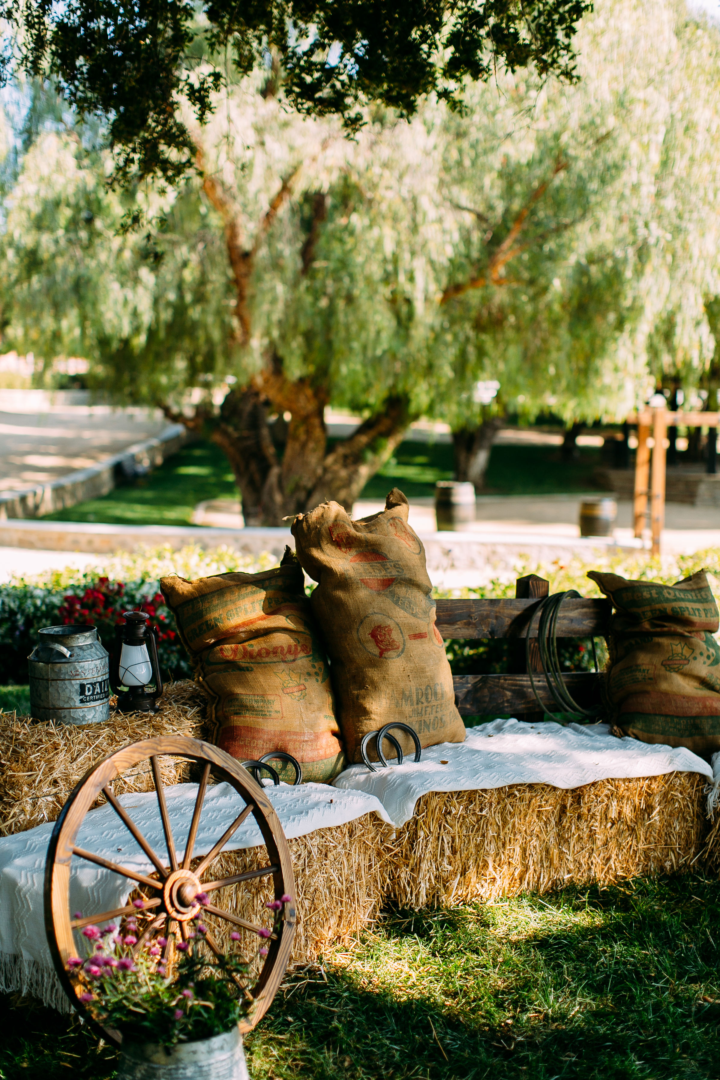 Martha_50th_Birthday_14.jpg