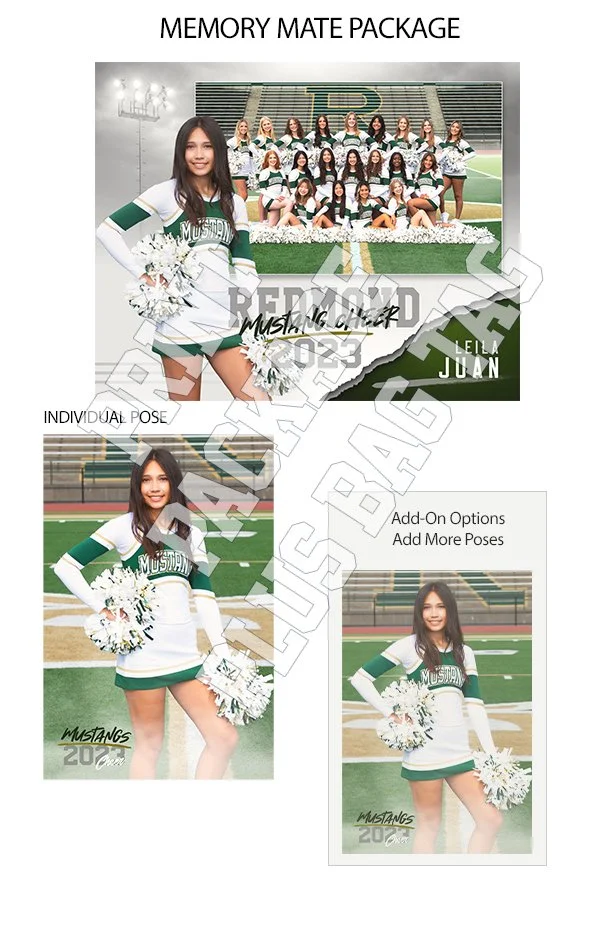 Digital_package_P10 copy.jpg