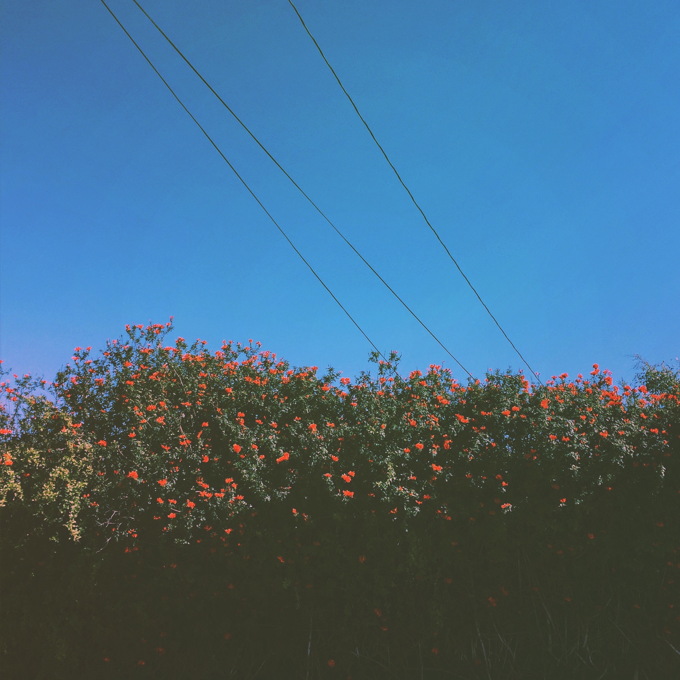 Processed with VSCOcam with hb2 preset
