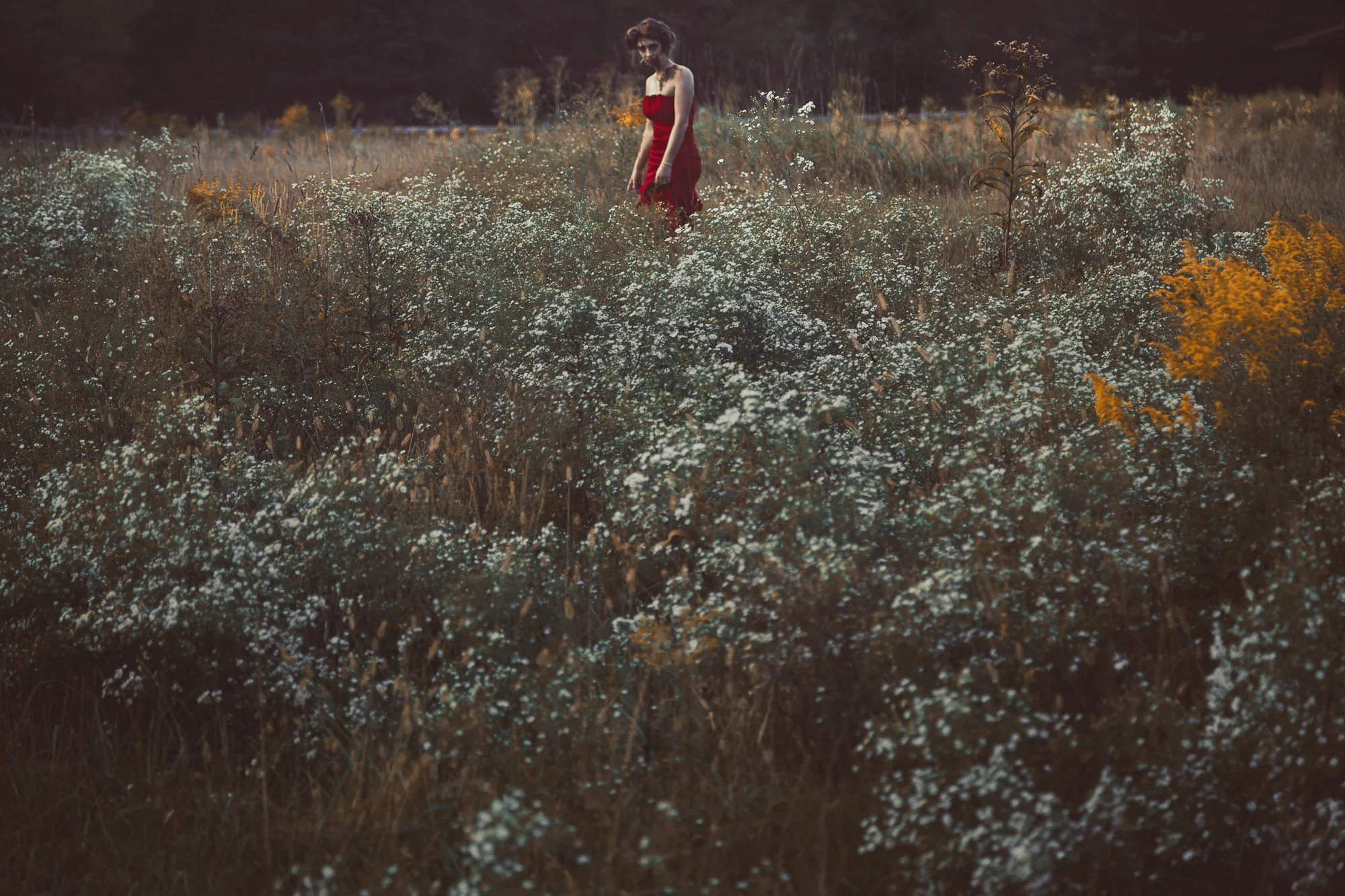 faith-through-fotos_dead-inside-21.jpg