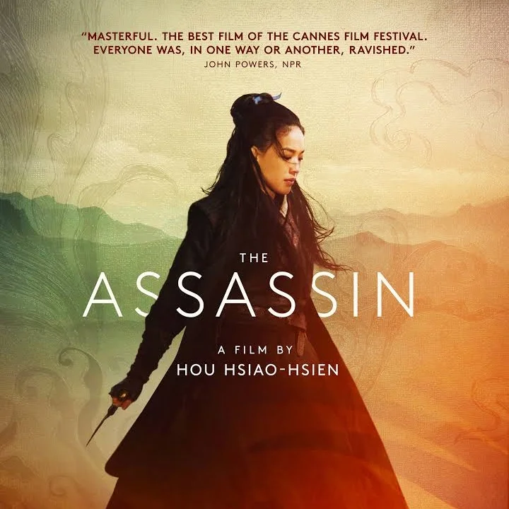 The Assassin review
