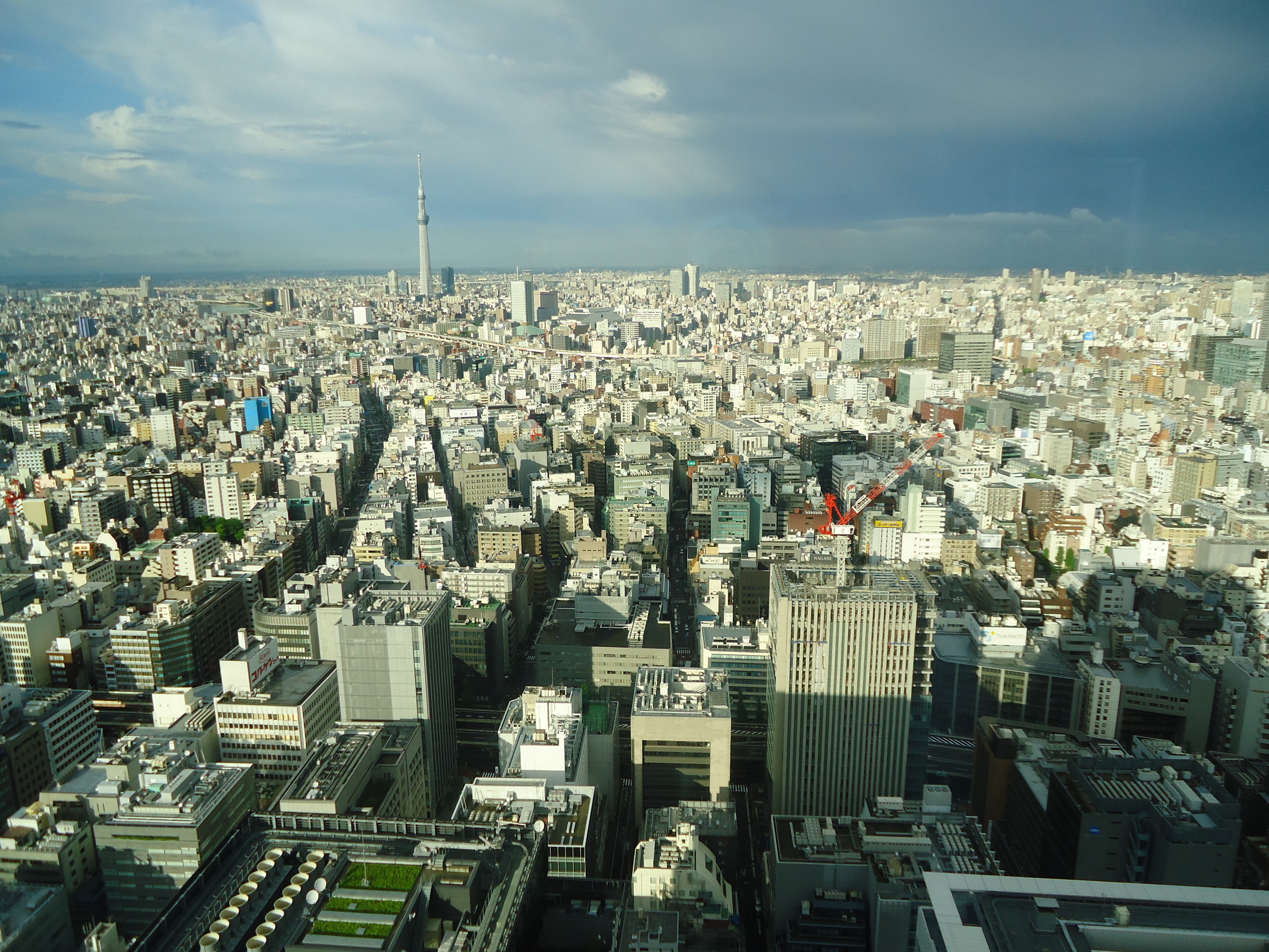 Tokyo view from Mandarin Hotel restroom