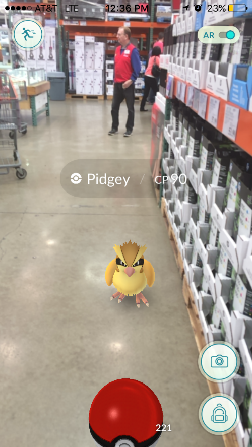 Wholesale Pokémon. Photo credit: Janisha