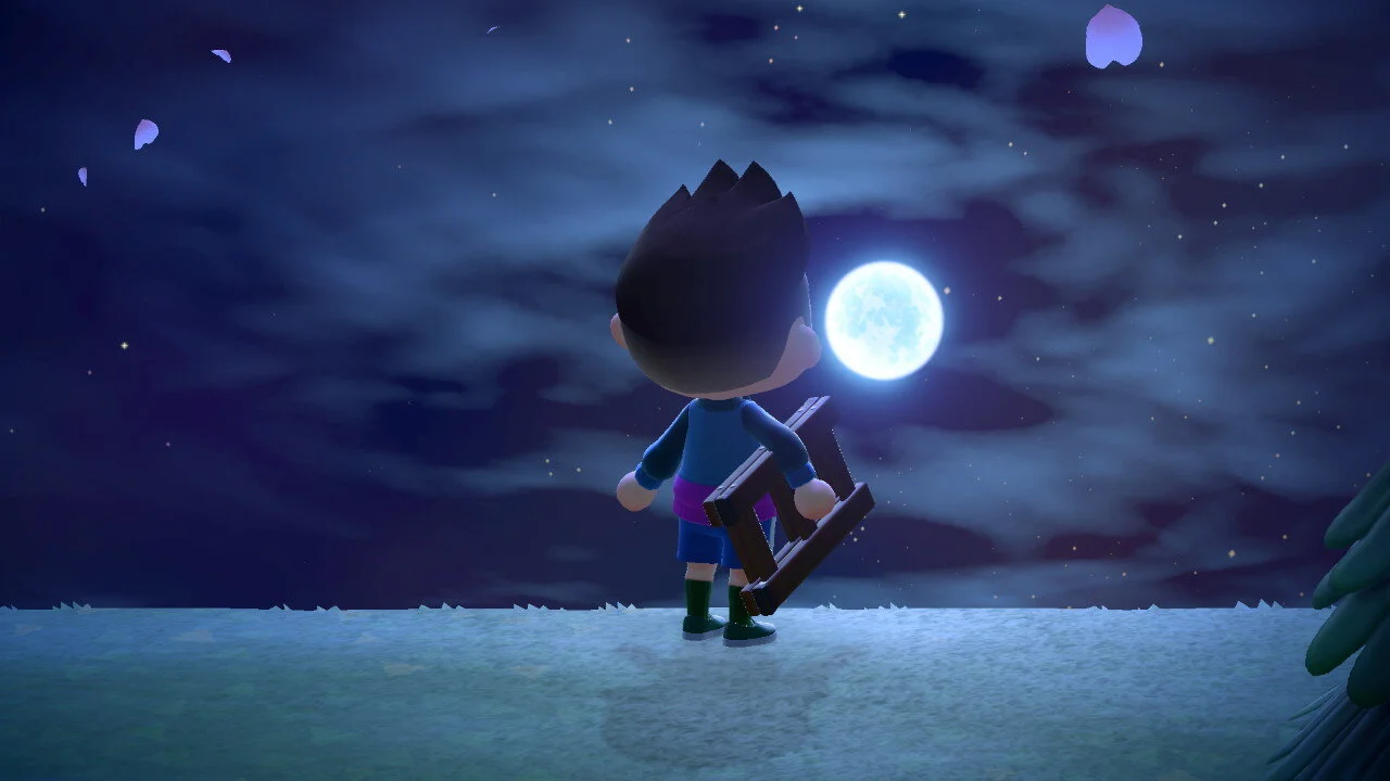 How To Play Animal Crossing — Kelleher Bros.