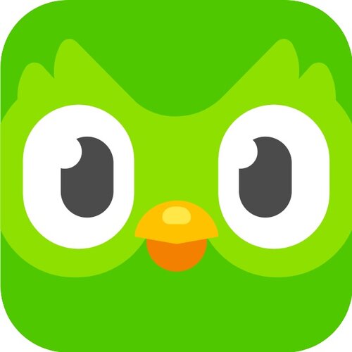 Duolingo review — Kelleher Bros.