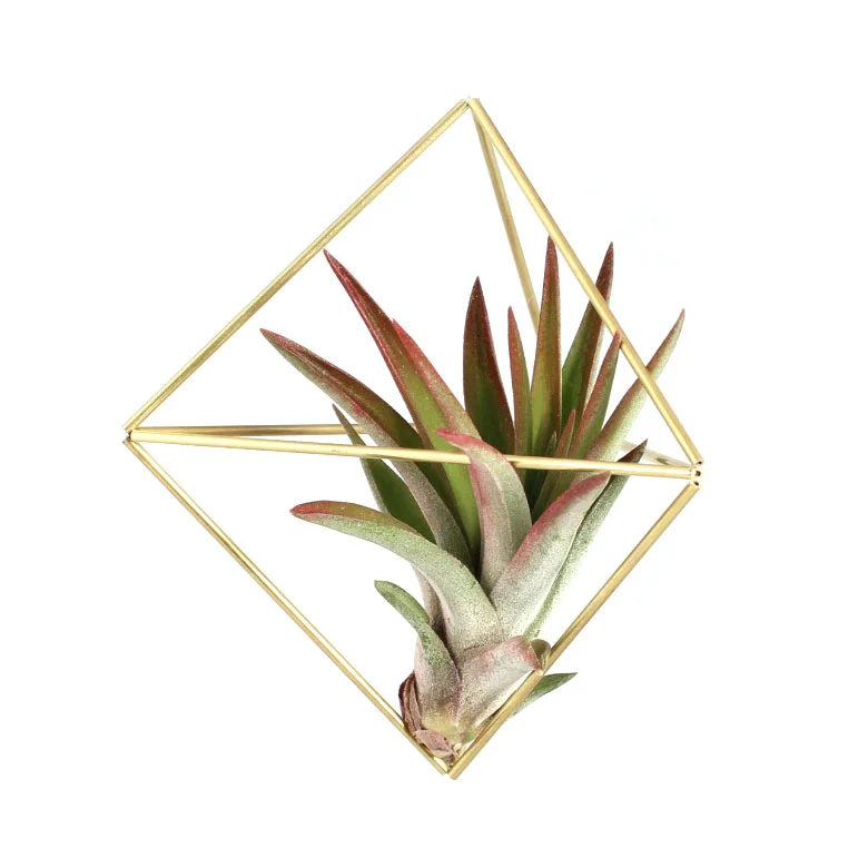 ornamentNo4Plant.jpg