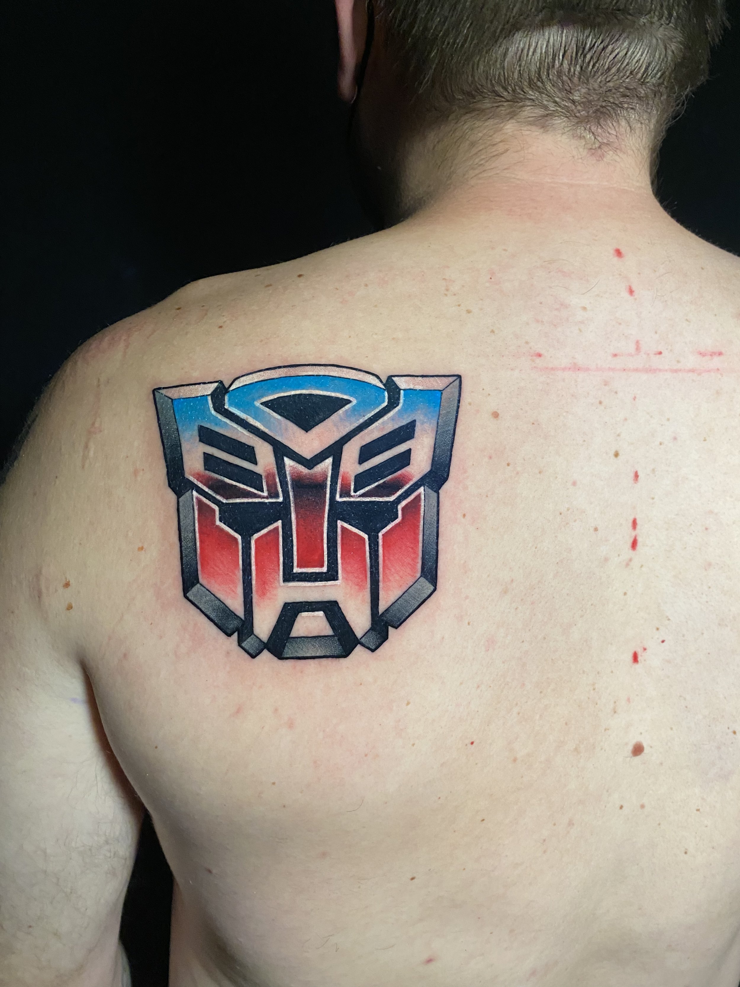 Transformers Antagonists Decepticons Logo Temporary Tattoo  eBay
