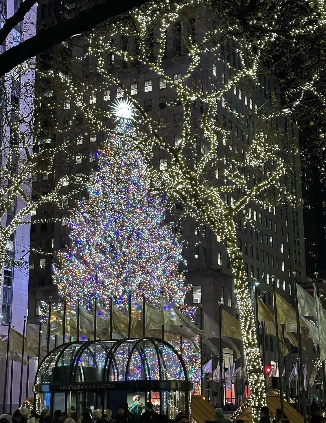 Christmas Tree Rockefeller Center.jpg