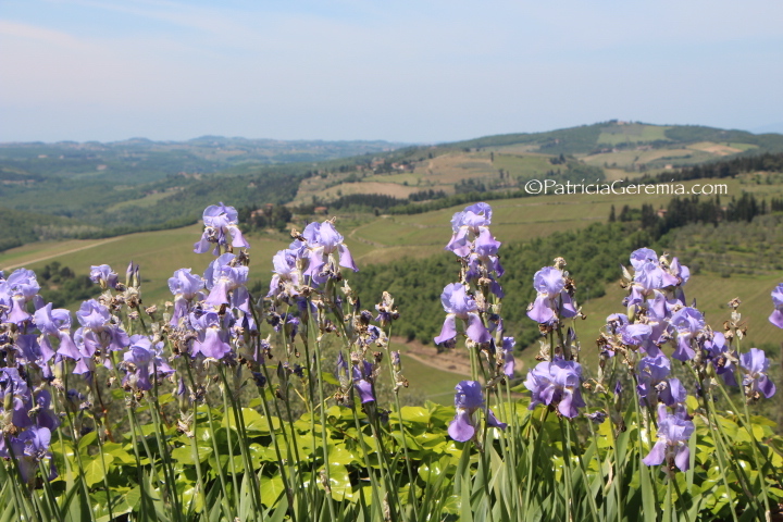 Spring in Chianti