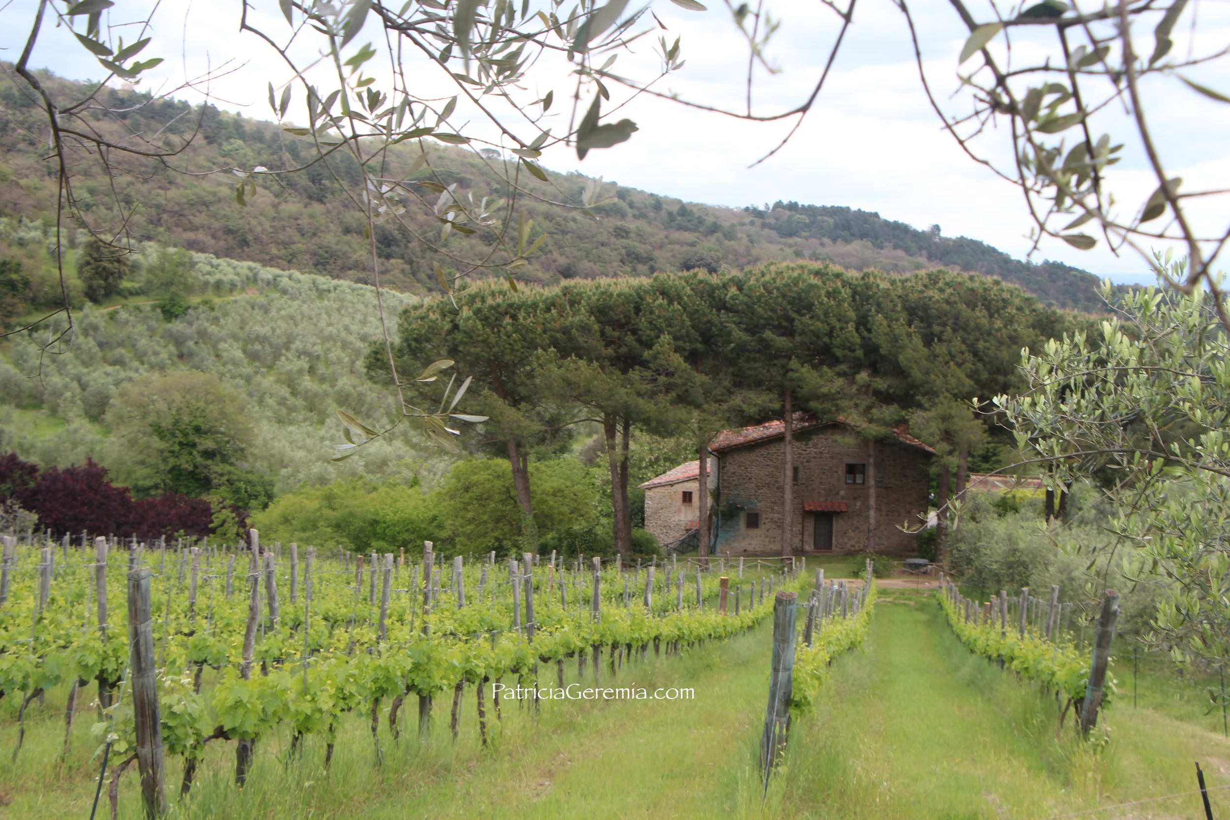 Una Passeggiata in Chianti