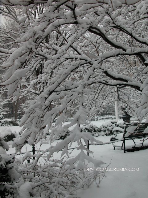 Snowy Park Bench, Gramercy Park, New York City