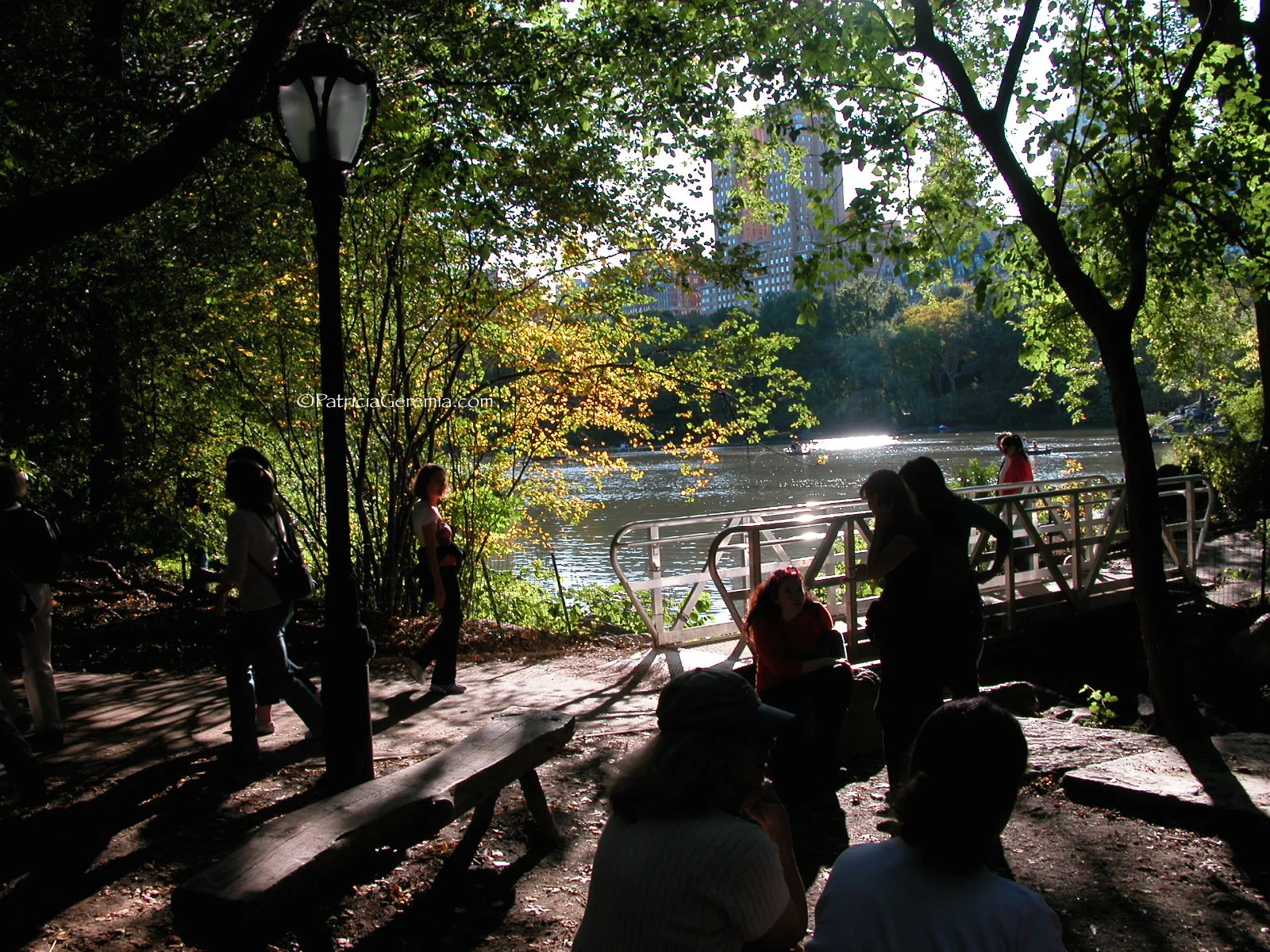 Fall Shadows, The Ramble, Central Park