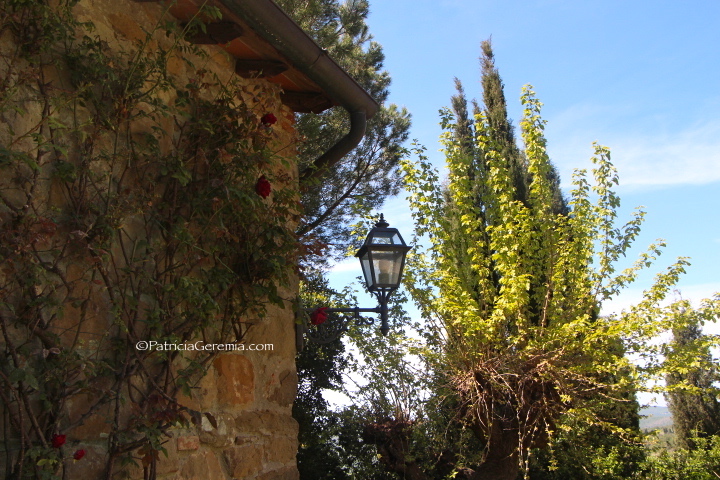 Volpaia Villa