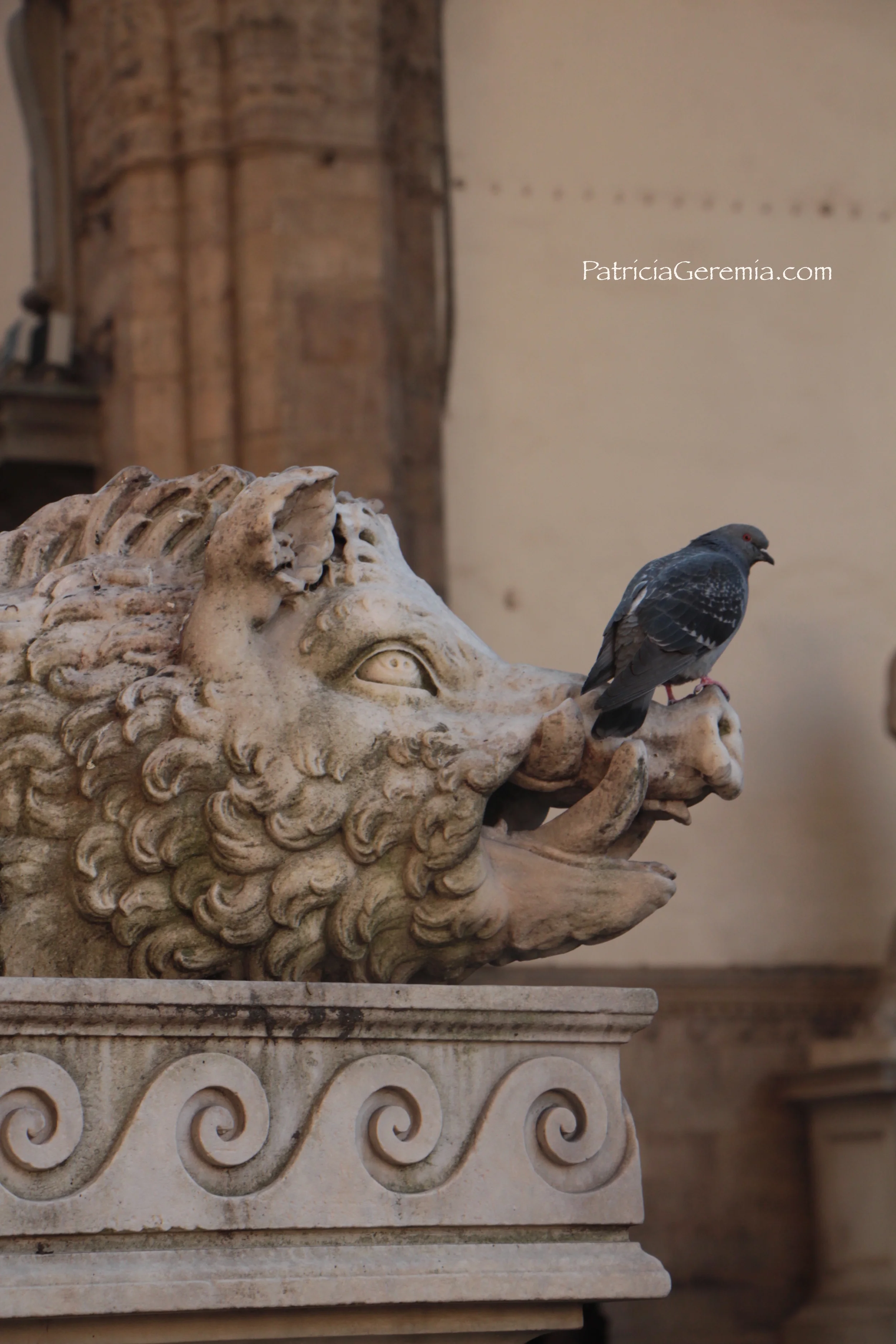 Boar & Bird.jpg