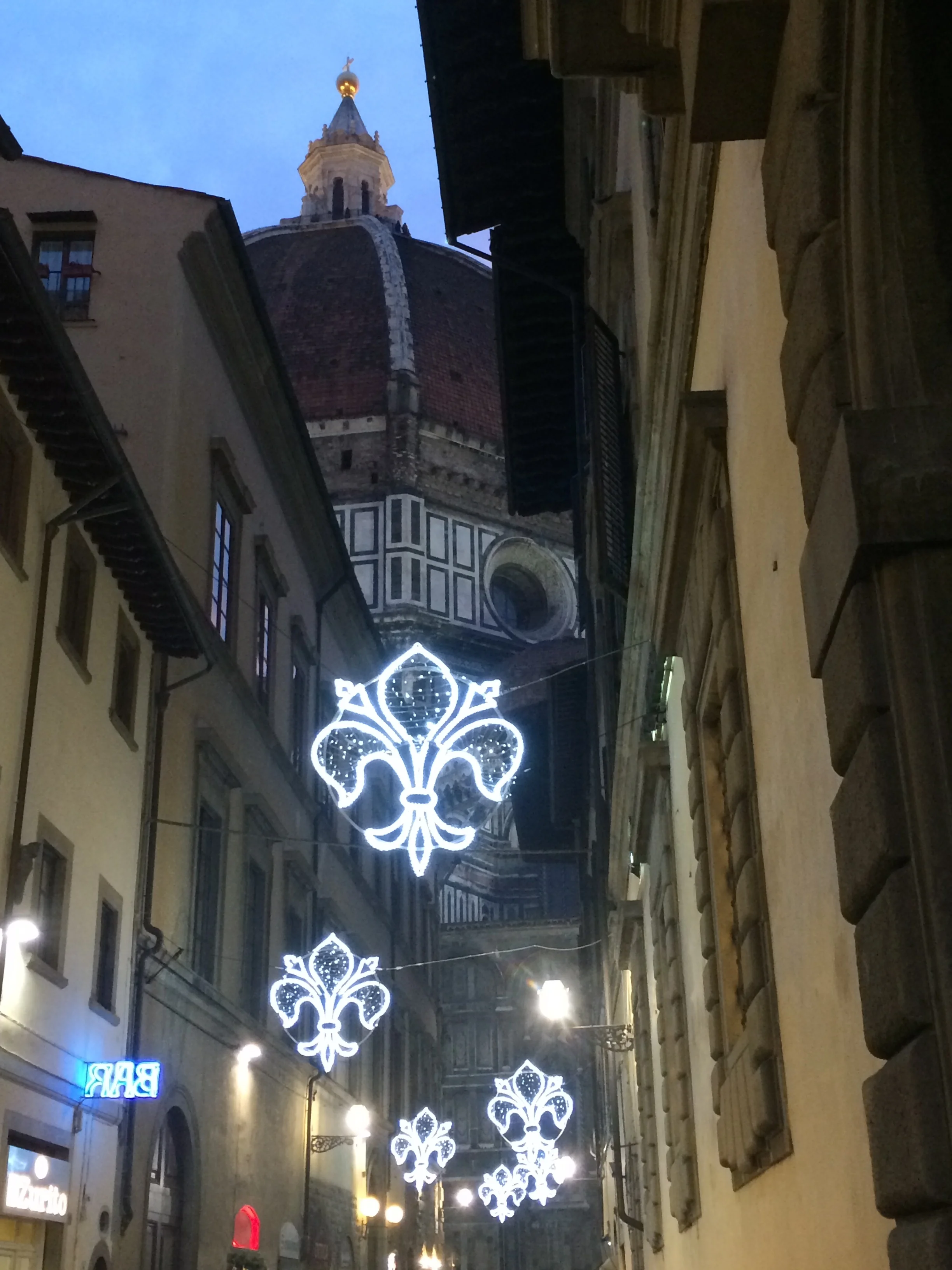 Christmass lights.jpg