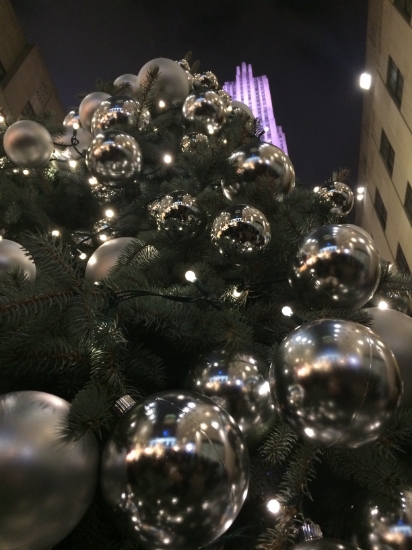 Merry Christmas, Buon Natale from PatriciaG Loves Italy!