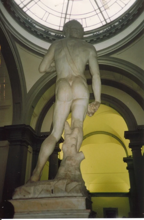 Michelangelo's David